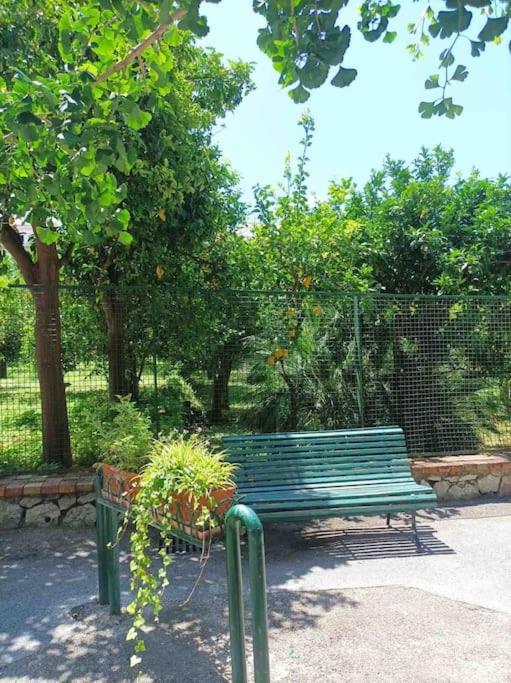 Appartamento Casa Masi -